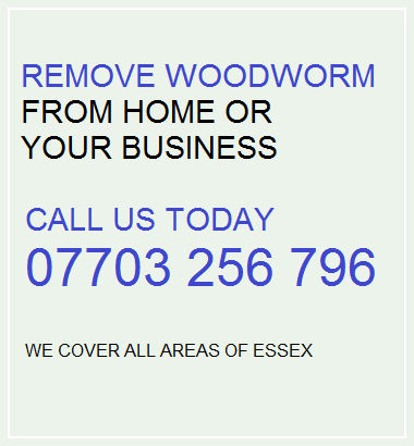 Woodworm Essex | Woodworm Treatment Essex