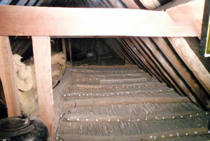 Woodworm Essex | Woodworm Treatment Essex